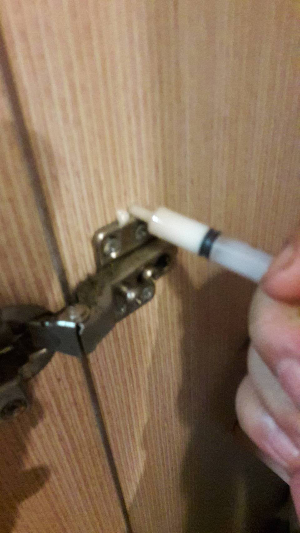 處理蛀蟲